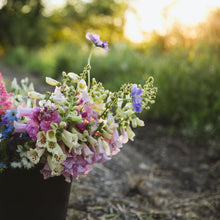 Load image into Gallery viewer, A bucket of garden flowers at Lily Stone Gardens