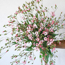 Load image into Gallery viewer, Soapwart - Beauty Series - Pink