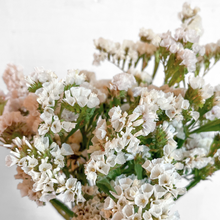 Load image into Gallery viewer, Statice - Seeker White Seed