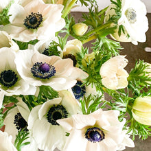 Load image into Gallery viewer, Anemone Corms - Marianne Panda