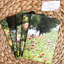 Load image into Gallery viewer, Lily Stone 2024 Blank Greeting Card Collection