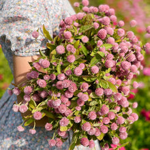 Load image into Gallery viewer, Bouquet of pink flowers held by a person wearing a floral dress.