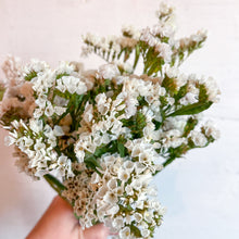 Load image into Gallery viewer, Statice - Seeker White Seed