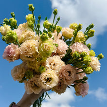 Load image into Gallery viewer, Bouquet of flowers held against a blue sky