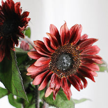 Load image into Gallery viewer, Sunflower - Ruby