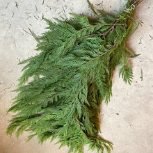 Load image into Gallery viewer, Winter Greens by the Bunch