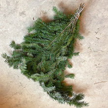 Load image into Gallery viewer, Winter Greens by the Bunch