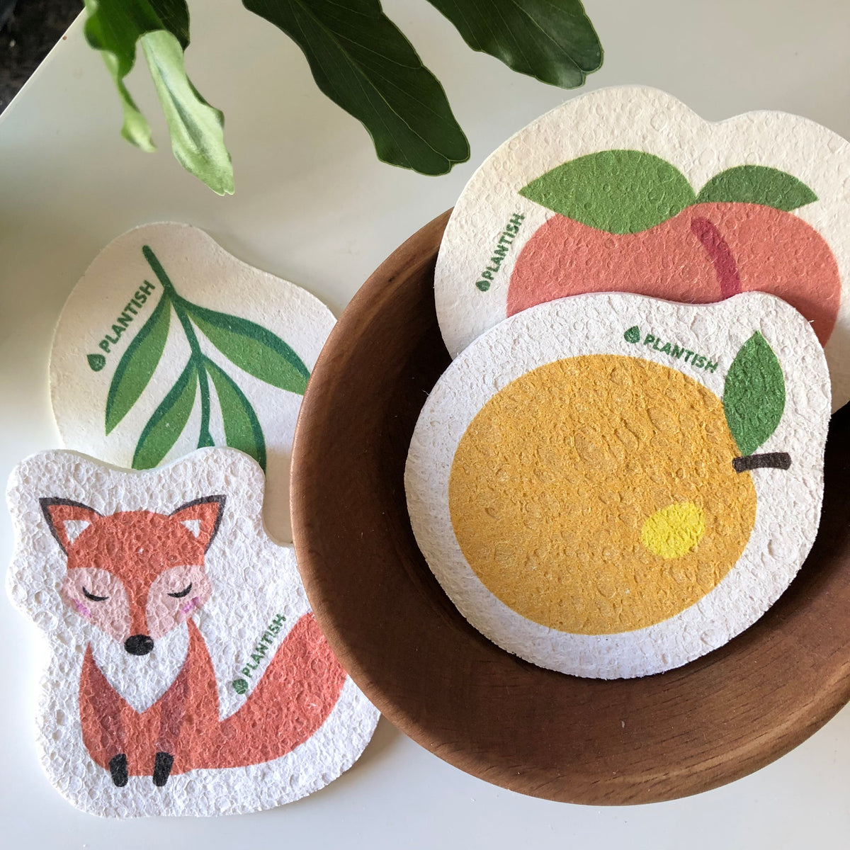 Plantish PopUp Sponge Lily Stone Gardens