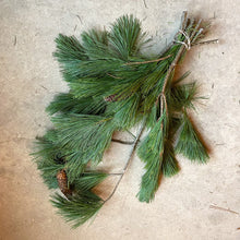 Load image into Gallery viewer, Winter Greens by the Bunch