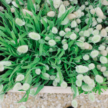 Load image into Gallery viewer, Bunny Tails Grass