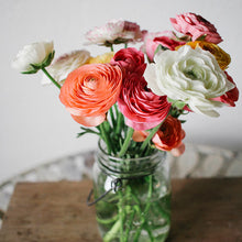 Load image into Gallery viewer, Basics of Cut Flower Gardening Workshop