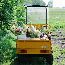 Load image into Gallery viewer, Basics of Cut Flower Gardening Workshop