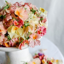 Load image into Gallery viewer, Viola - Nature Antique Shades Seed