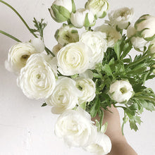 Load image into Gallery viewer, Ranunculus Corms - Amandine White