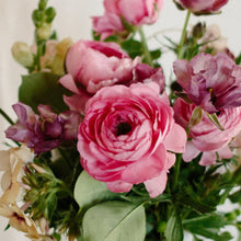 Load image into Gallery viewer, Ranunculus Corms - Amandine Rose
