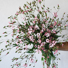 Load image into Gallery viewer, Soapwart - Beauty Series - Pink