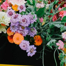 Load image into Gallery viewer, Scabiosa - Oxford Blue Seed