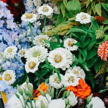 Load image into Gallery viewer, Zinnia - Oklahoma White Seed