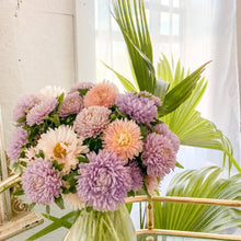 Load image into Gallery viewer, Aster - Lady Coral Lavender Seed