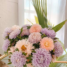 Load image into Gallery viewer, Aster - King Size Apricot Seed