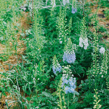 Load image into Gallery viewer, 2026 U-Pick Flower Farm- Booking Reservation