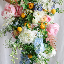 Load image into Gallery viewer, Craspedia - Sun Ball Seed