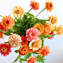 Load image into Gallery viewer, Zinnia - Candy Mix Seed
