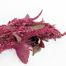 Load image into Gallery viewer, Amaranthus - Velvet Curtains Seed
