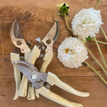 Load image into Gallery viewer, Garden snips
