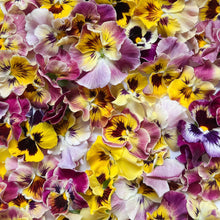 Load image into Gallery viewer, Fresh Floral Garnish
