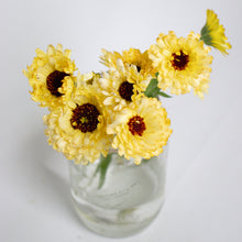 Load image into Gallery viewer, Calendula - Ivory Princess Seed
