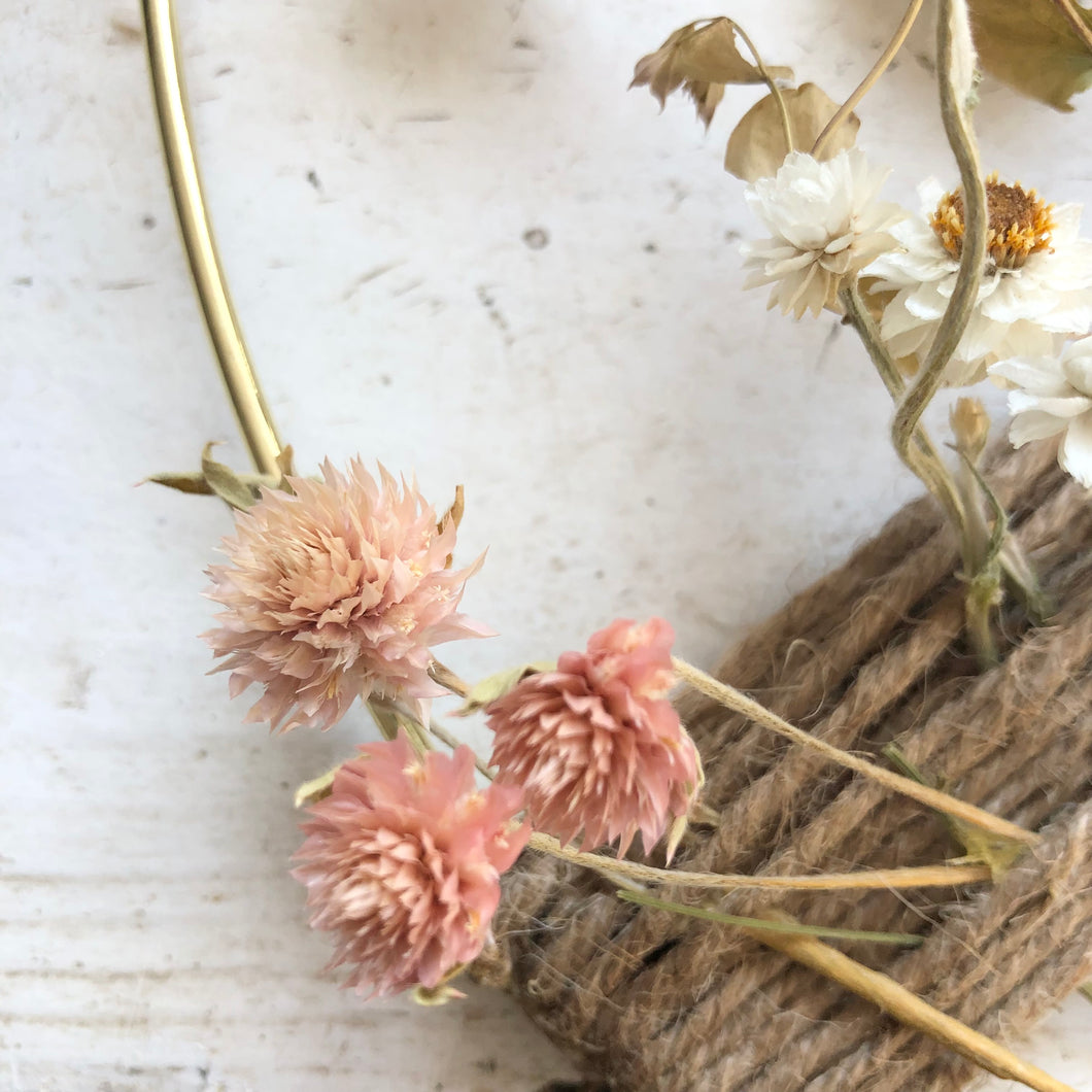 Gomphrena - Salmon Pastel Seed