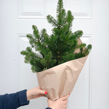 Load image into Gallery viewer, Winter Greens by the Bunch
