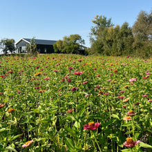 Load image into Gallery viewer, Field of colorful flowers with a wedding venue and trees in the background
