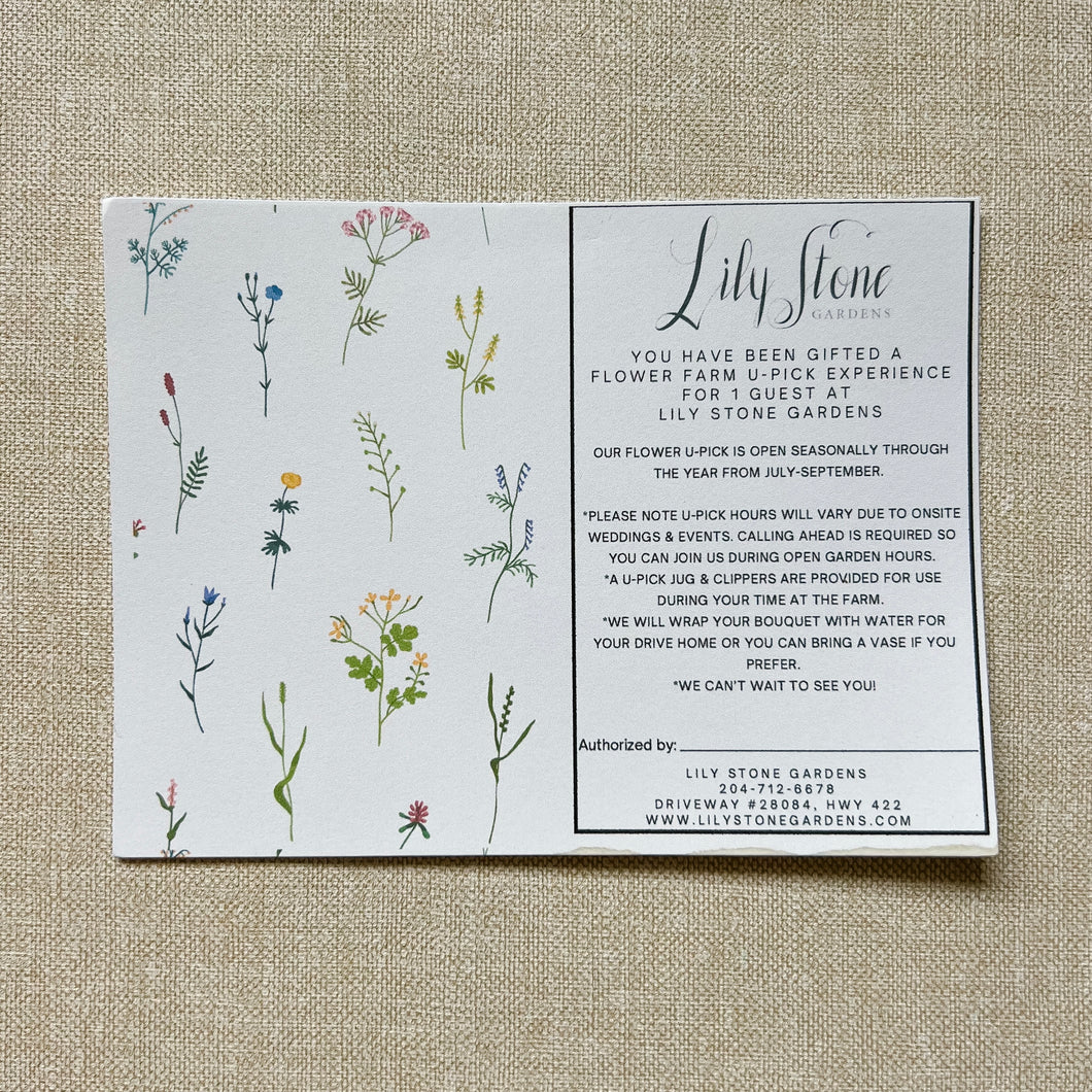 *NEW* Lily Stone Gardens Flower U-Pick Experience Gift Card