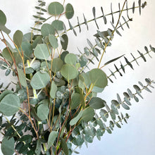 Load image into Gallery viewer, Mixed Eucalyptus Shower Bundle
