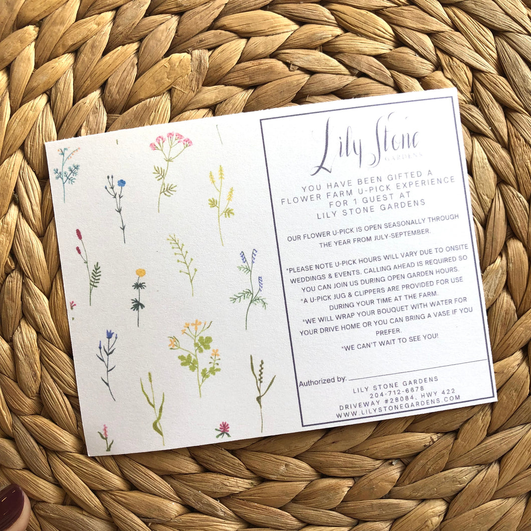 *NEW* Lily Stone Gardens Flower U-Pick Experience Gift Card