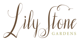 Specialty Cut Flower Seeds | Shipping Canada-wide! – Lily Stone Gardens