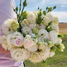 Load image into Gallery viewer, Lisianthus - Voyage 2 First Love Seed
