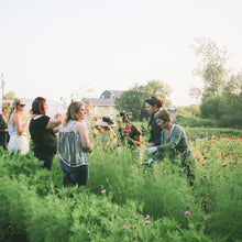 Load image into Gallery viewer, Flower U pick at Lily Stone Gardens
