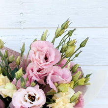 Load image into Gallery viewer, Lisianthus - Arena 3 Baby Pink Seed
