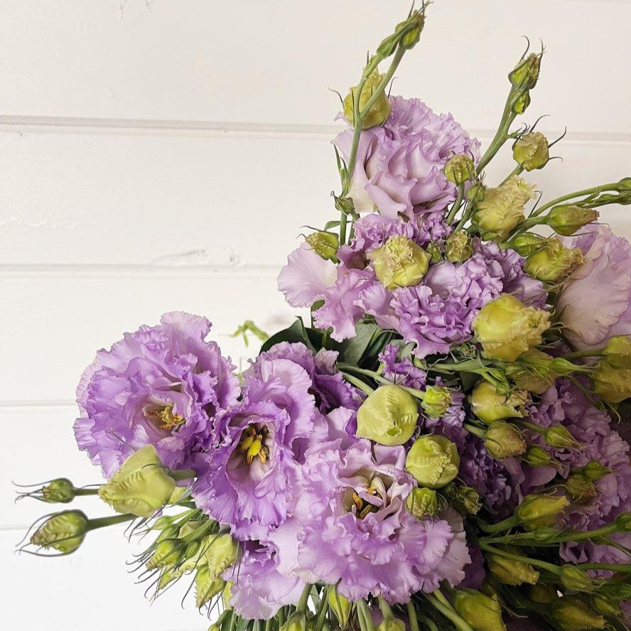 Lisianthus - Voyage 2 Lavender Seed