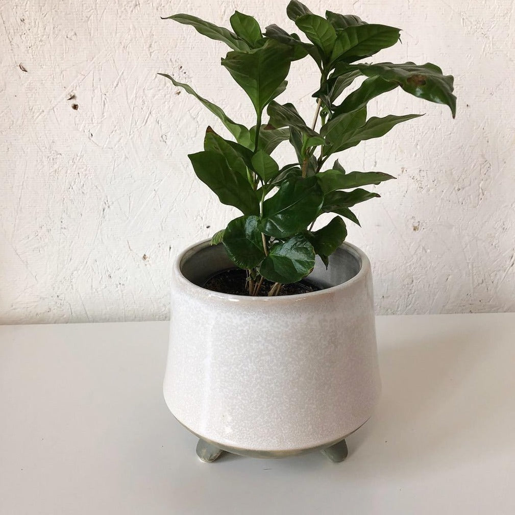 Footed Stoneware Planter