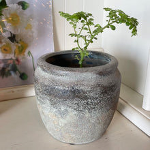 Load image into Gallery viewer, Textured plant pot

