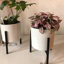 Load image into Gallery viewer, Textured Ceramic Planter with Black Stand
