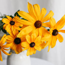 Load image into Gallery viewer, Rudbeckia - Indian Summer Seed
