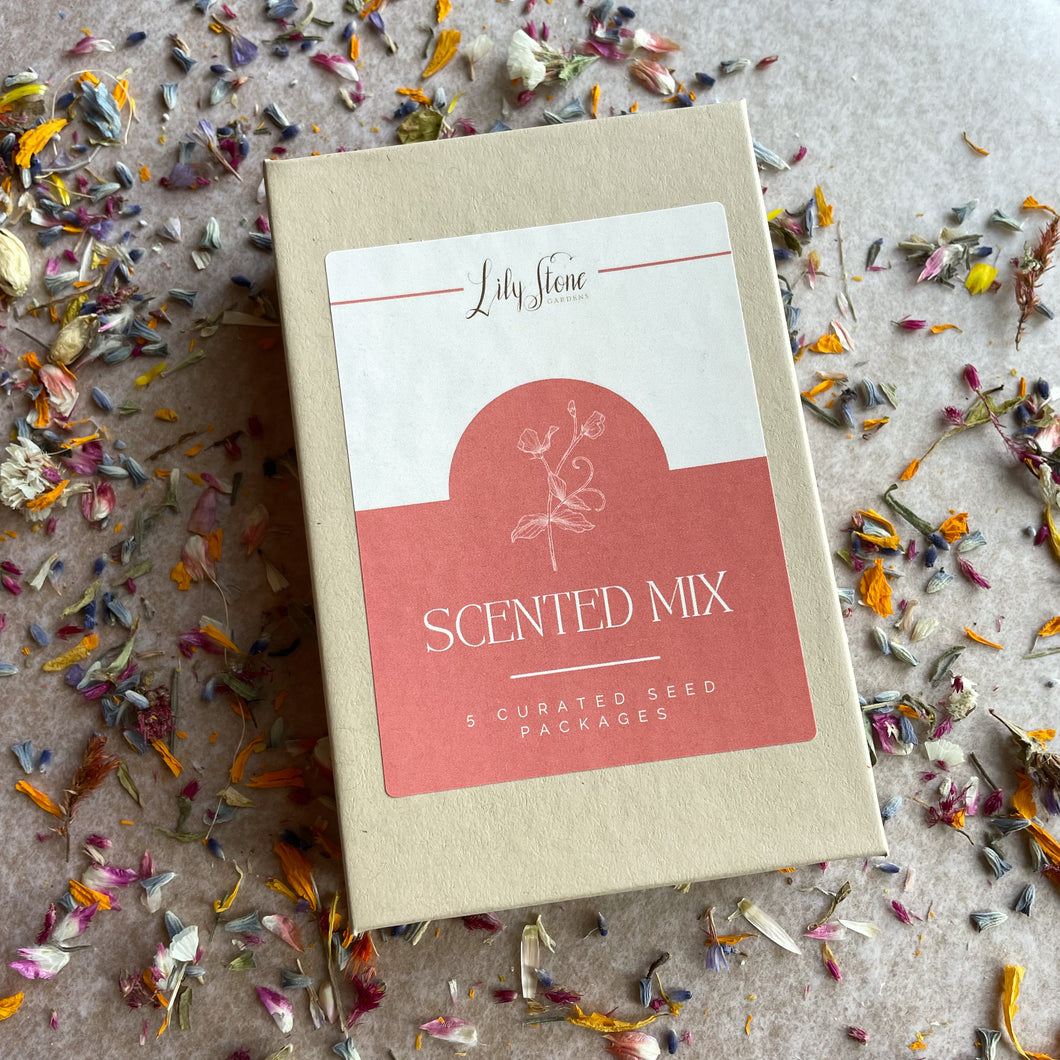 Lily Stone's Curated Cutting Garden - Scented Mix Seed Bundle