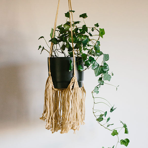 Boho Fringe Plant Hanger - Natural