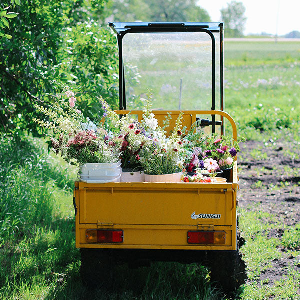 Basics of Cut Flower Gardening Workshop