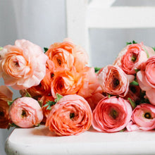 Load image into Gallery viewer, Ranunculus Corms - Salmon
